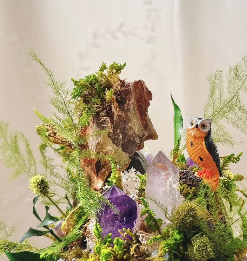 守望者 貓頭鷹。紫水晶不用澆水盆栽 永生葉材