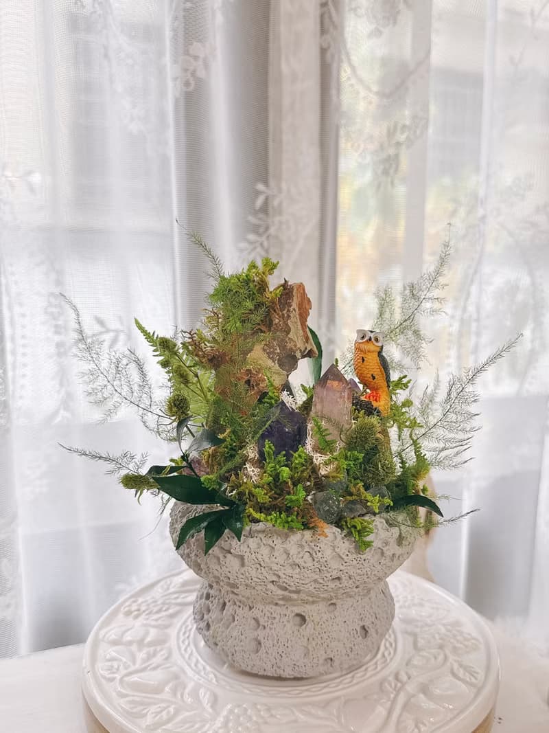 守望者 貓頭鷹。紫水晶不用澆水盆栽 永生葉材