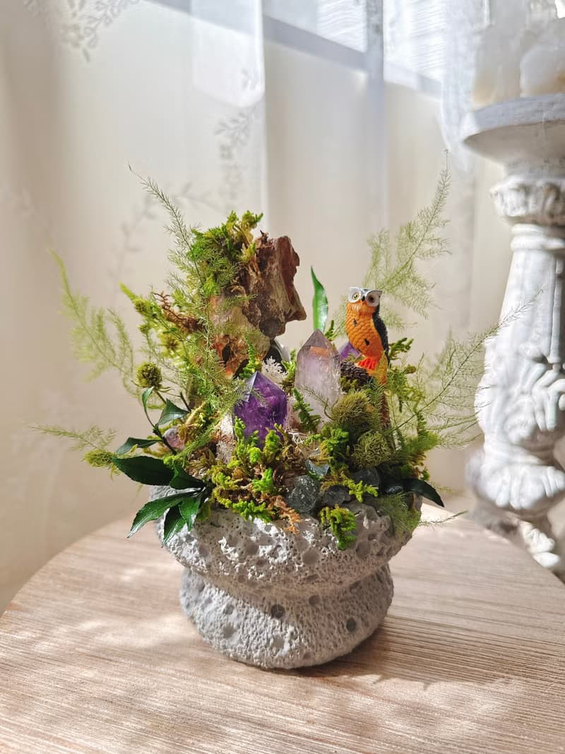 守望者 貓頭鷹。紫水晶不用澆水盆栽 永生葉材