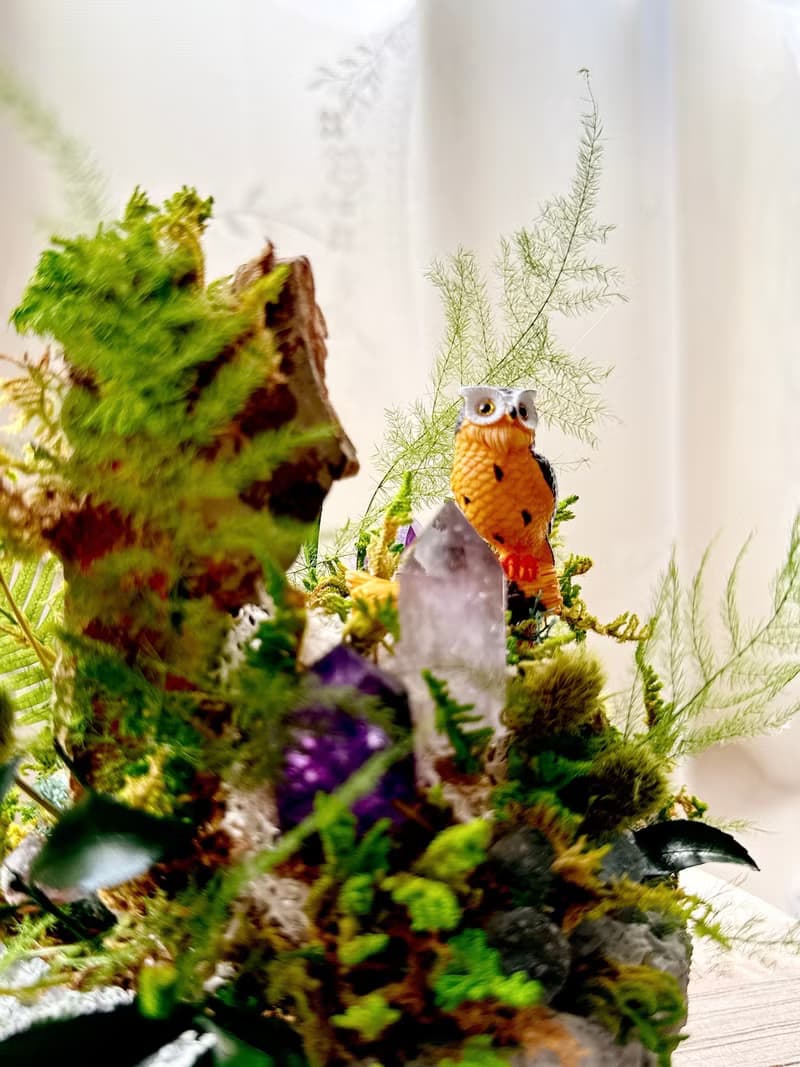 守望者 貓頭鷹。紫水晶不用澆水盆栽 永生葉材