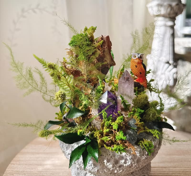 守望者 貓頭鷹。紫水晶不用澆水盆栽 永生葉材