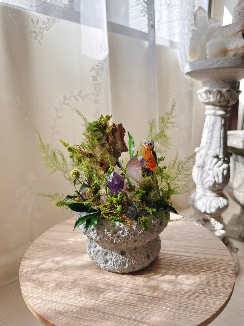 守望者 貓頭鷹。紫水晶不用澆水盆栽 永生葉材