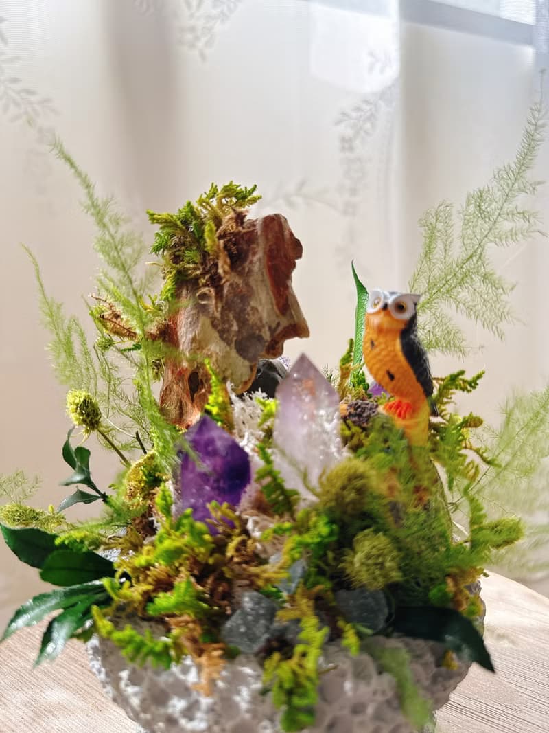 守望者 貓頭鷹。紫水晶不用澆水盆栽 永生葉材
