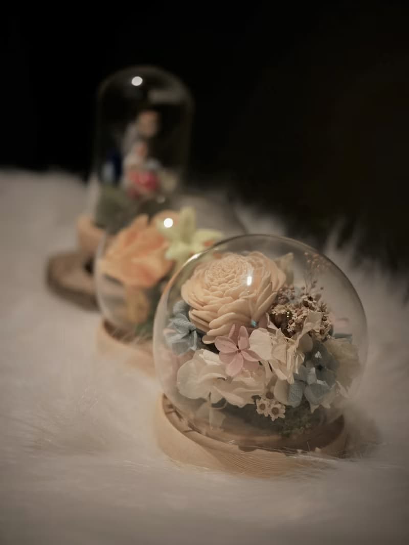 藍粉白永生花玻璃罩 玻璃盅 綺麗的未來 乾燥花