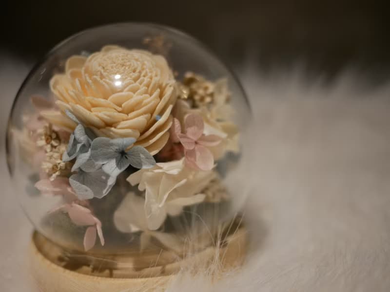 藍粉白永生花玻璃罩 玻璃盅 綺麗的未來 乾燥花