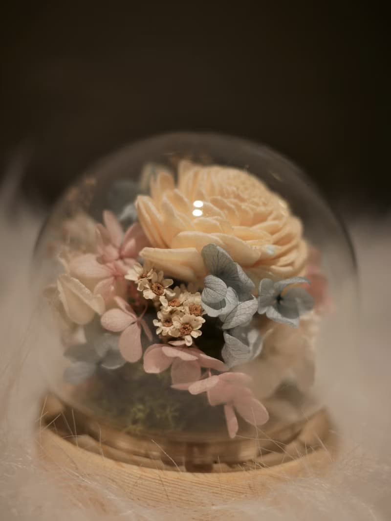藍粉白永生花玻璃罩 玻璃盅 綺麗的未來 乾燥花