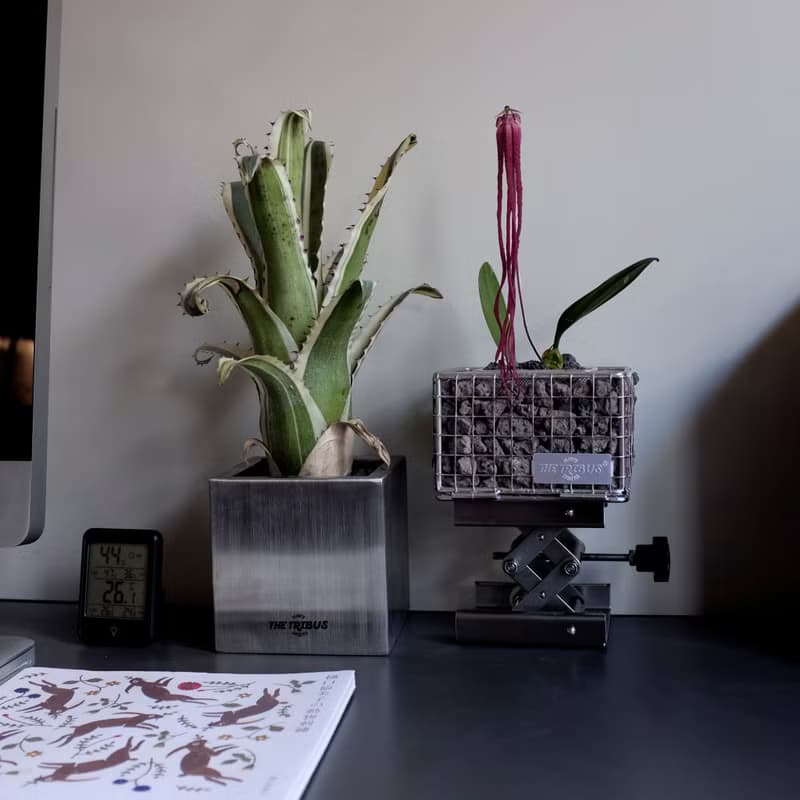 可重複裝填蛇籠盆 M Size