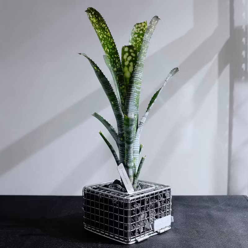 可重複裝填蛇籠盆 M Size