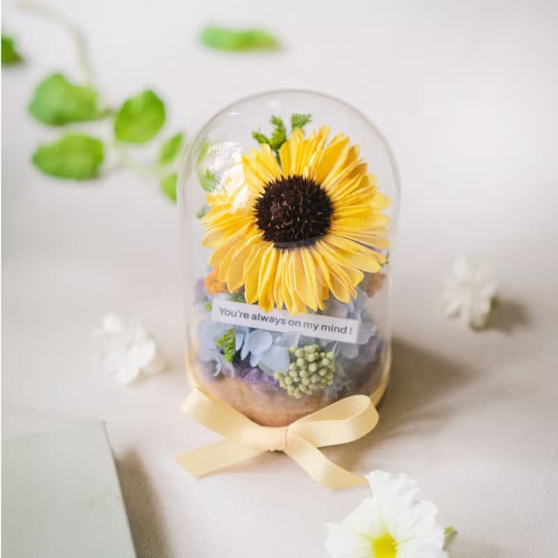 畢業禮物/索拉太陽花/永生花玫瑰花玻璃盅/共7款/乾燥花/生日禮物