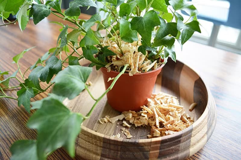 香氛超值組合(檜木露噴霧30mlx1+香氛足浴包x3+樟木杯墊x3)