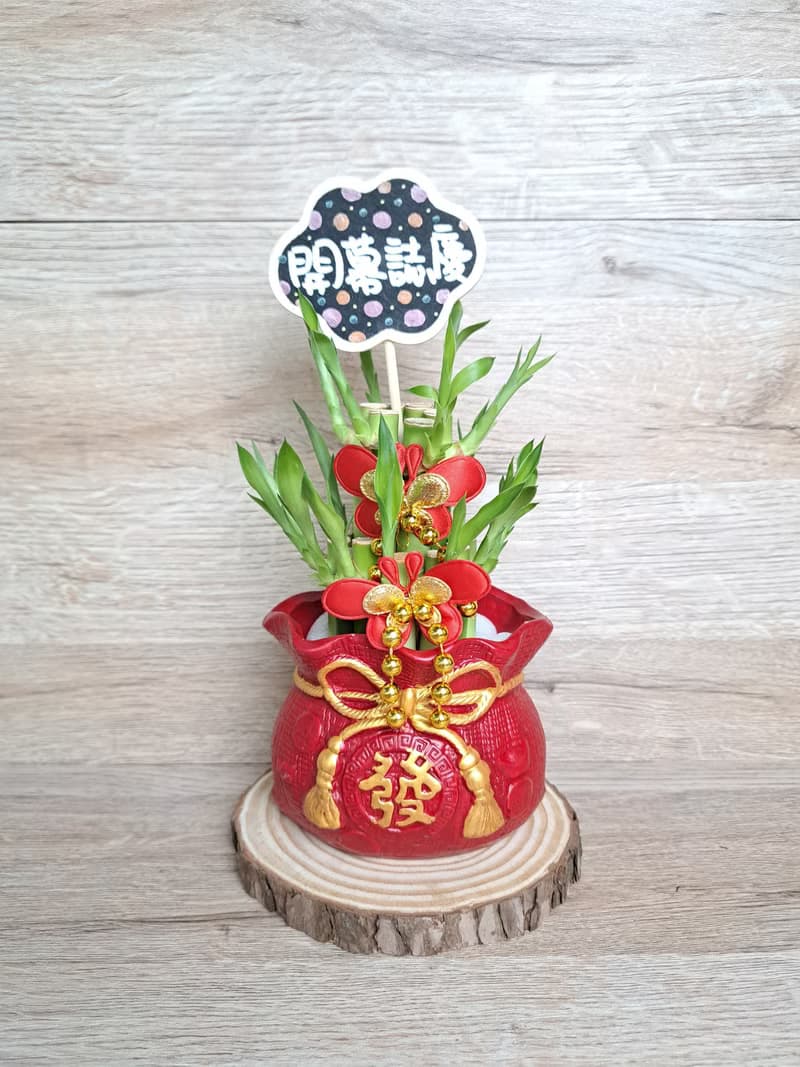 喜氣紅福袋 開運竹 萬年青 開幕送禮 入厝 喬遷 升遷 組合禮盆