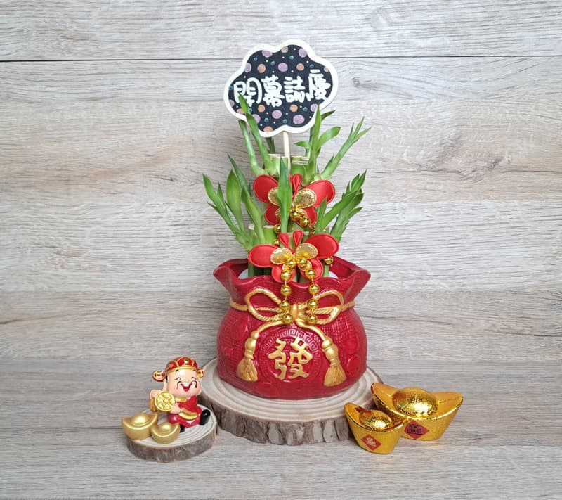 喜氣紅福袋 開運竹 萬年青 開幕送禮 入厝 喬遷 升遷 組合禮盆