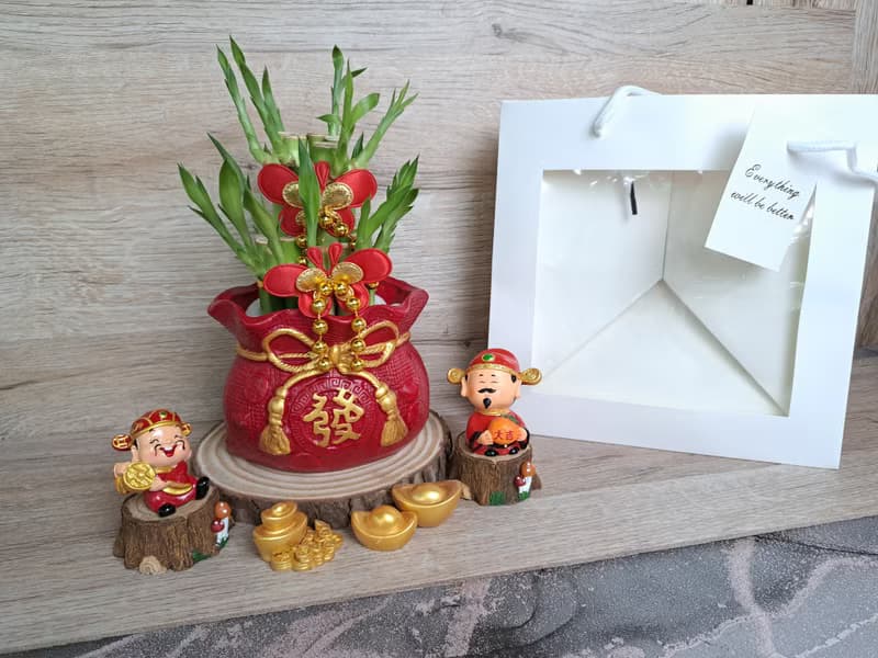 喜氣紅福袋 開運竹 萬年青 開幕送禮 入厝 喬遷 升遷 組合禮盆