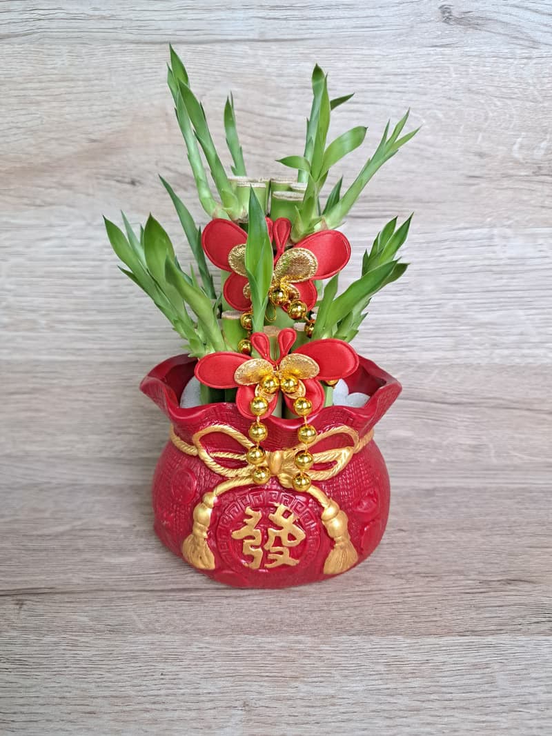 喜氣紅福袋 開運竹 萬年青 開幕送禮 入厝 喬遷 升遷 組合禮盆