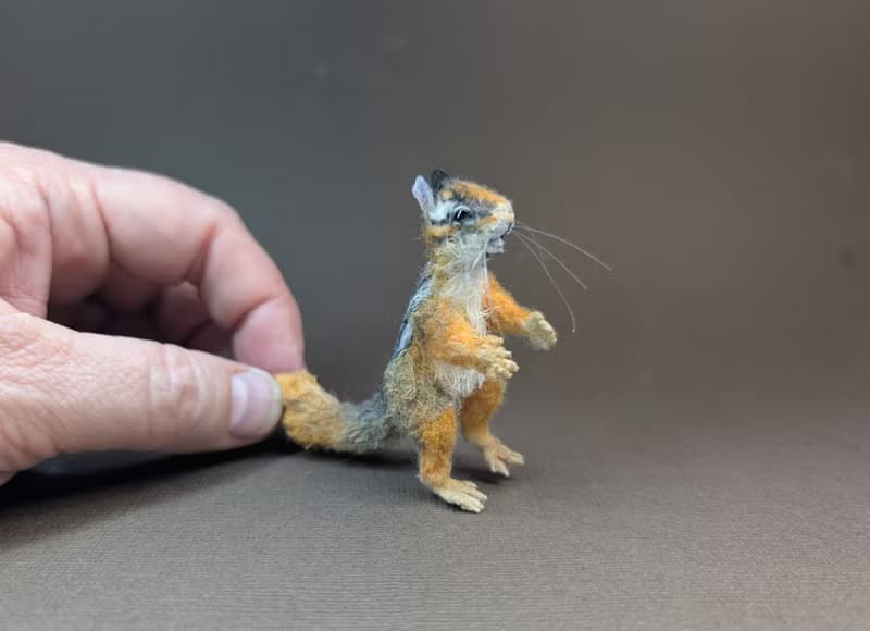 Chipmunk Furunduk