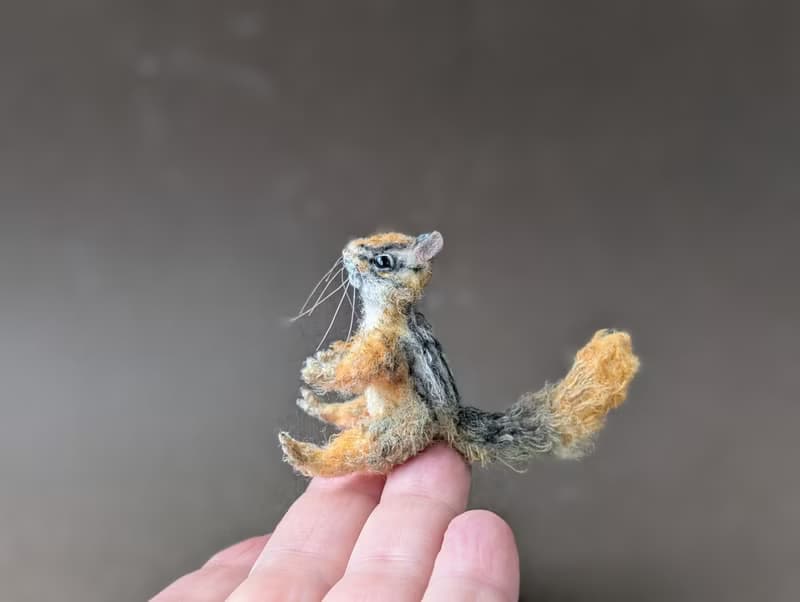 Chipmunk Furunduk