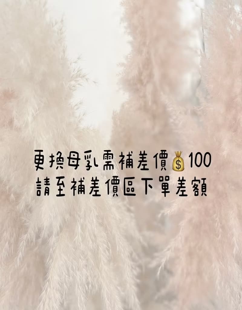 不鏽鋼 愛心 胎毛 母乳耳環