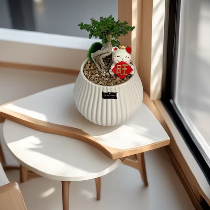 免運限量【壽娘子】盆景小品雅緻風水擺設 開幕新居喬遷升官送禮