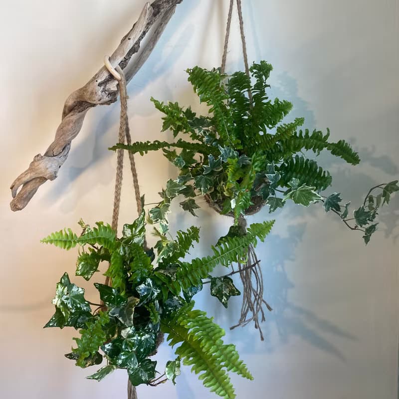 【材料包】DIY苔球材料包/ 含教學影片