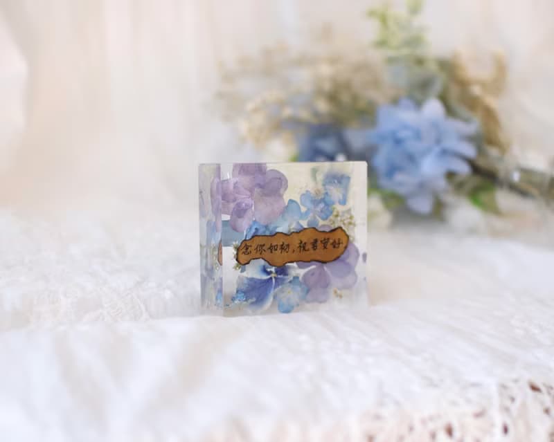 方形立體真花乾燥花擺設/紙鎮/繡球花/情人節禮物/生日禮物