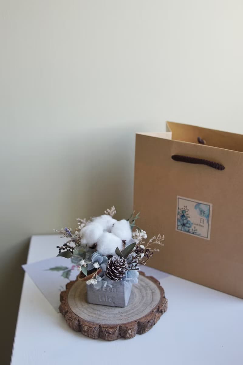 棉花小桌花