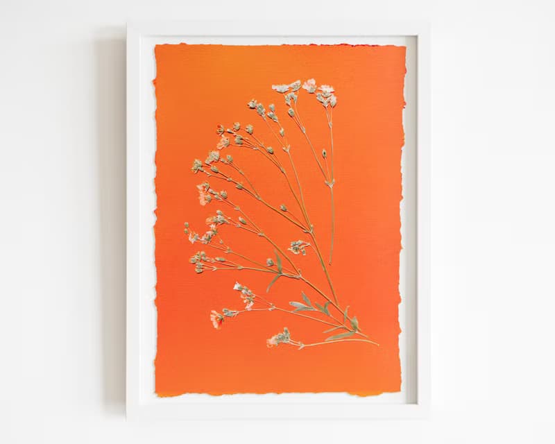 Wildflowers green orange wall art Pressed flower art Herbarium botanical plant