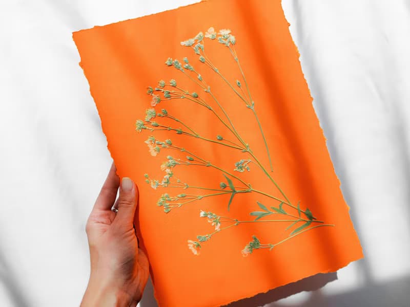 Wildflowers green orange wall art Pressed flower art Herbarium botanical plant