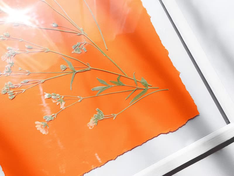 Wildflowers green orange wall art Pressed flower art Herbarium botanical plant