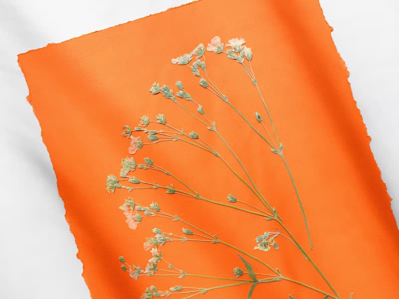 Wildflowers green orange wall art Pressed flower art Herbarium botanical plant