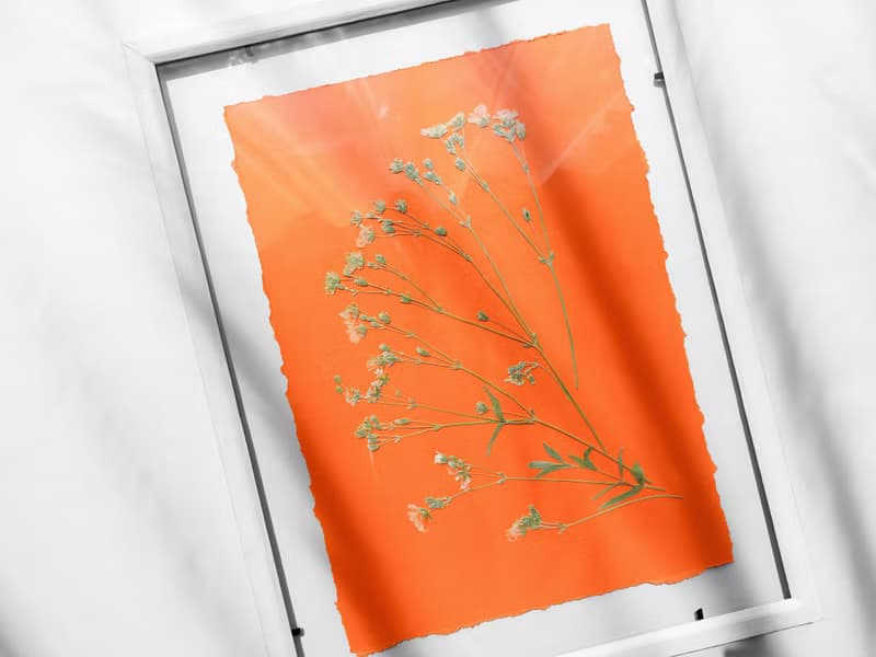 Wildflowers green orange wall art Pressed flower art Herbarium botanical plant