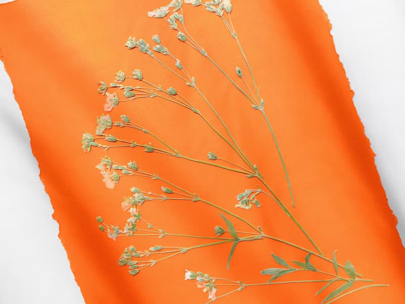 Wildflowers green orange wall art Pressed flower art Herbarium botanical plant