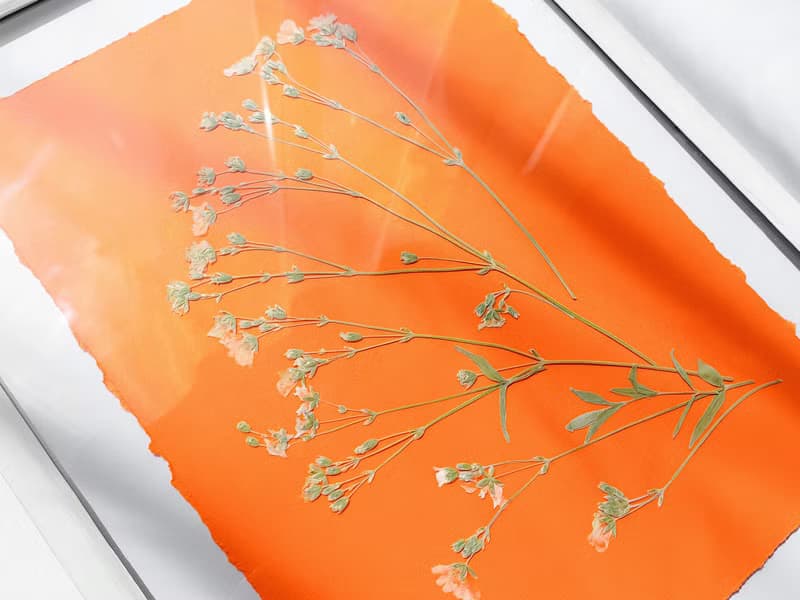 Wildflowers green orange wall art Pressed flower art Herbarium botanical plant