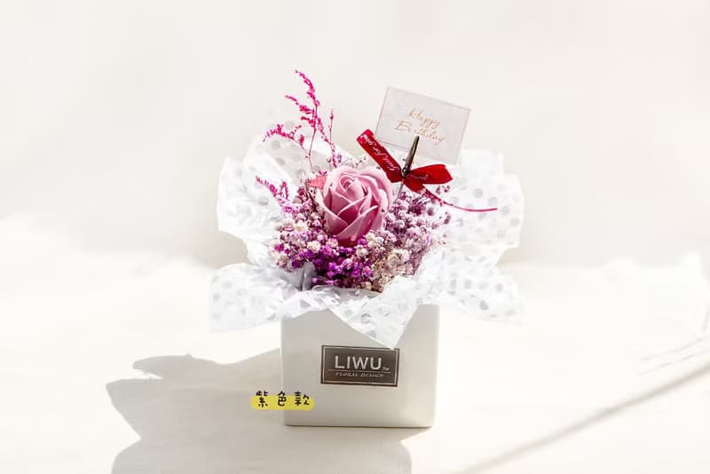 LIWU在你身邊 滿天星 乾燥盆花 開幕誌慶 生日禮物 交換禮物 畢業