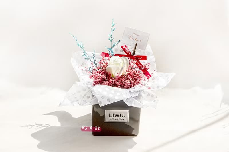LIWU在你身邊 滿天星 乾燥盆花 開幕誌慶 生日禮物 交換禮物 畢業