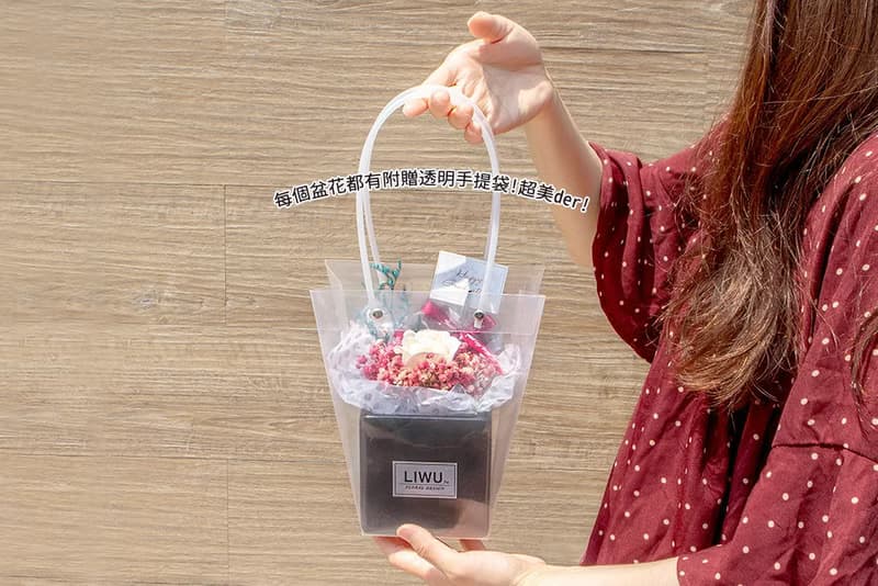 LIWU在你身邊 滿天星 乾燥盆花 開幕誌慶 生日禮物 交換禮物 畢業