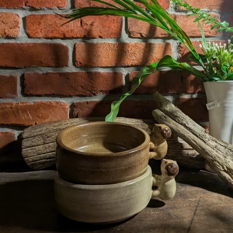 等熱湯喝的卡皮巴拉 湯碗 鶯歌 手作 文創 插花也可以 陶花碗