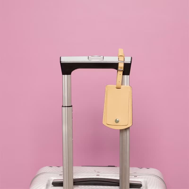 HILMYNA Twelve Luggage tag DAY Tone Faux leather