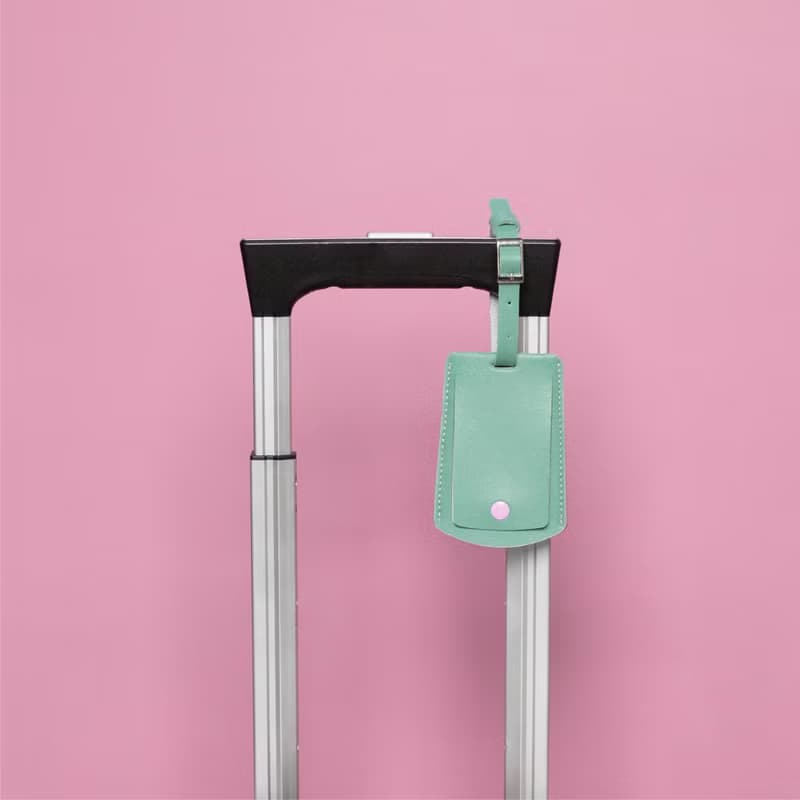 HILMYNA Twelve Luggage tag DAY Tone Faux leather