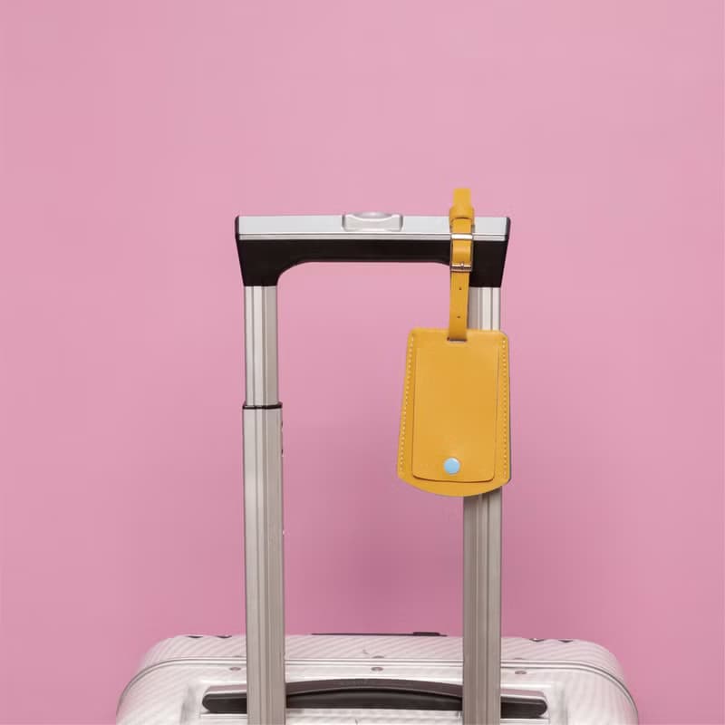 HILMYNA Twelve Luggage tag DAY Tone Faux leather