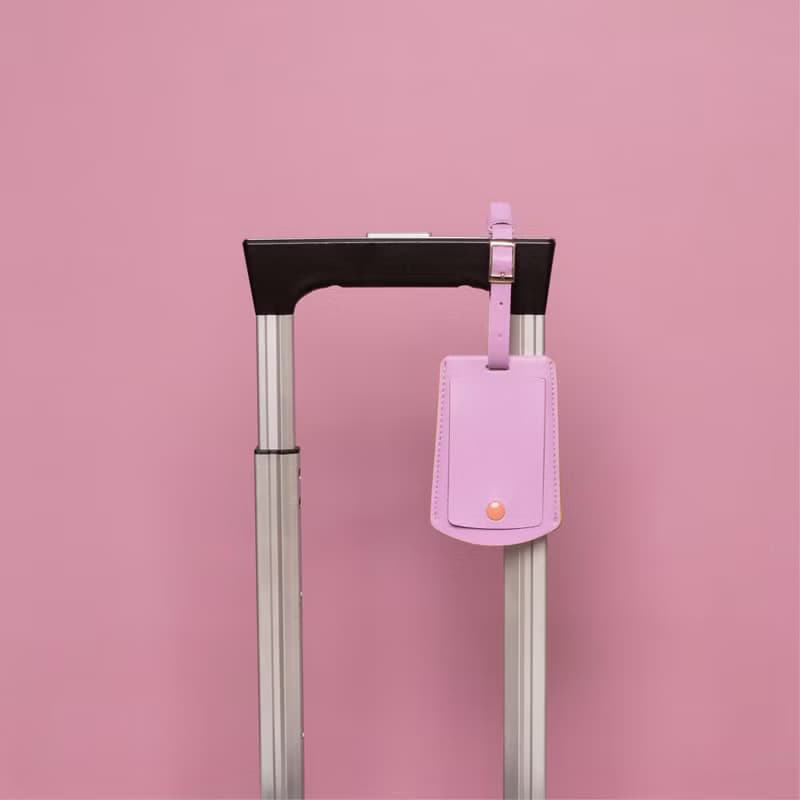 HILMYNA Twelve Luggage tag DAY Tone Faux leather