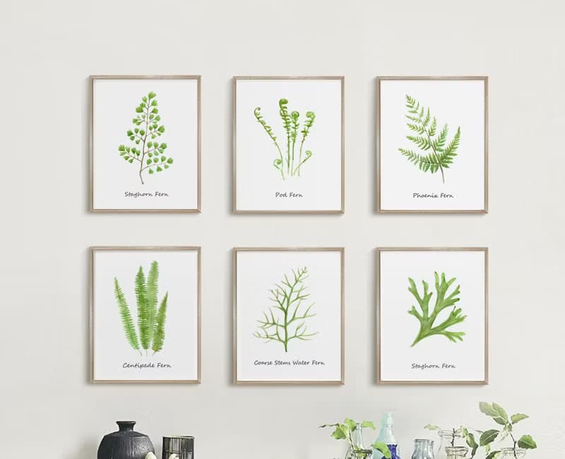 植物-空間佈置-居家情景掛畫-花草生活-走廊掛畫-綠色療愈