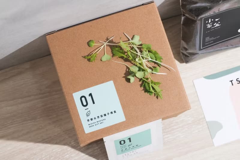 01京都水京菜種子_入坑禮物盒