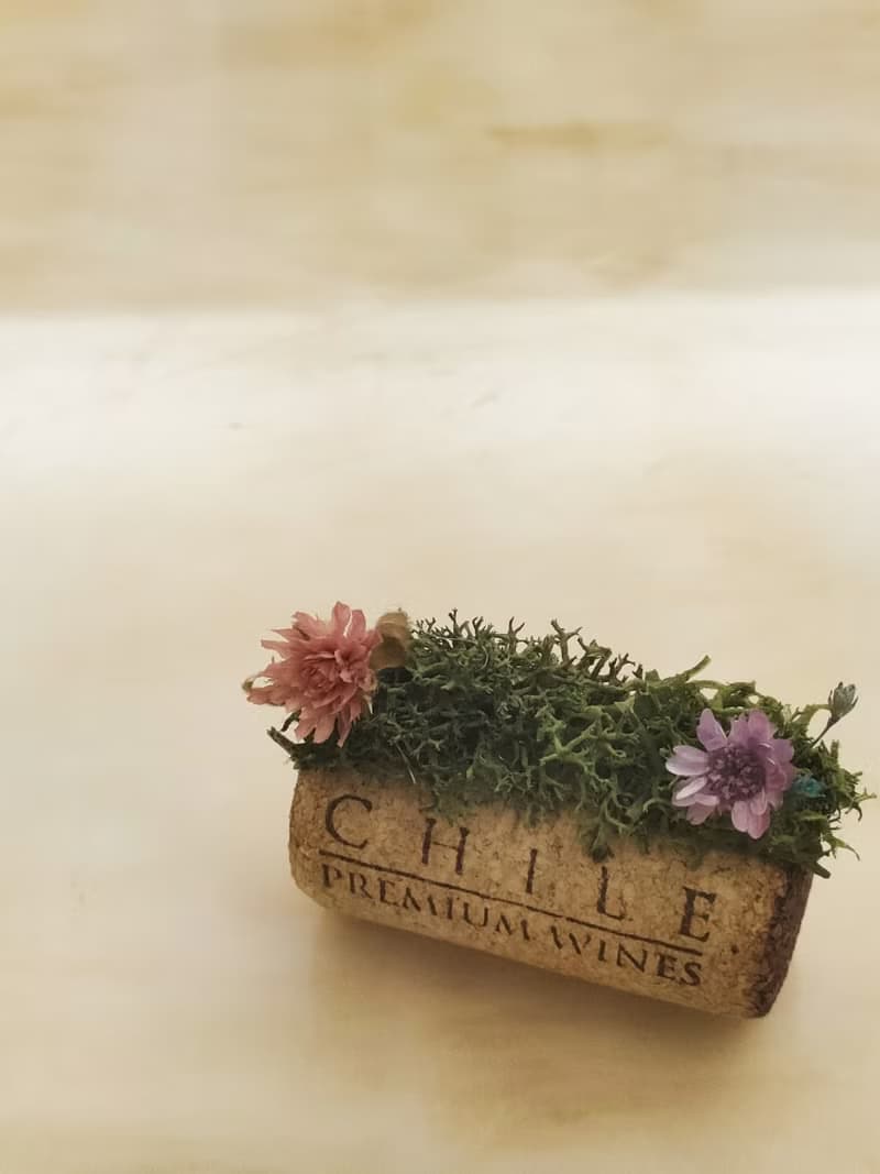 (獨家)Sheer Whisper 絮語藏花_療癒系小廢物-軟木塞乾燥花小擺飾
