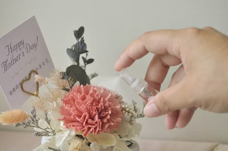 【母親節禮物】經典康乃馨擴香盆花香氛組 贈香水噴霧瓶
