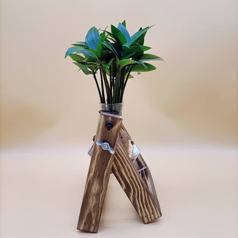 水培植物 竹柏 避邪擋小人 懶人植栽 創意木架 室內植物