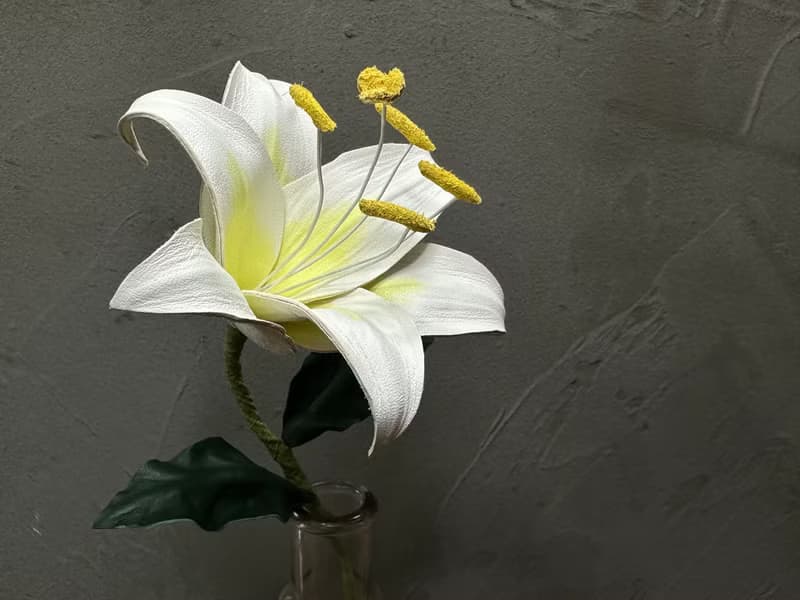 皮革百合花【花】