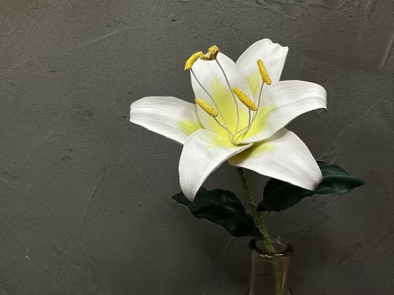 皮革百合花【花】