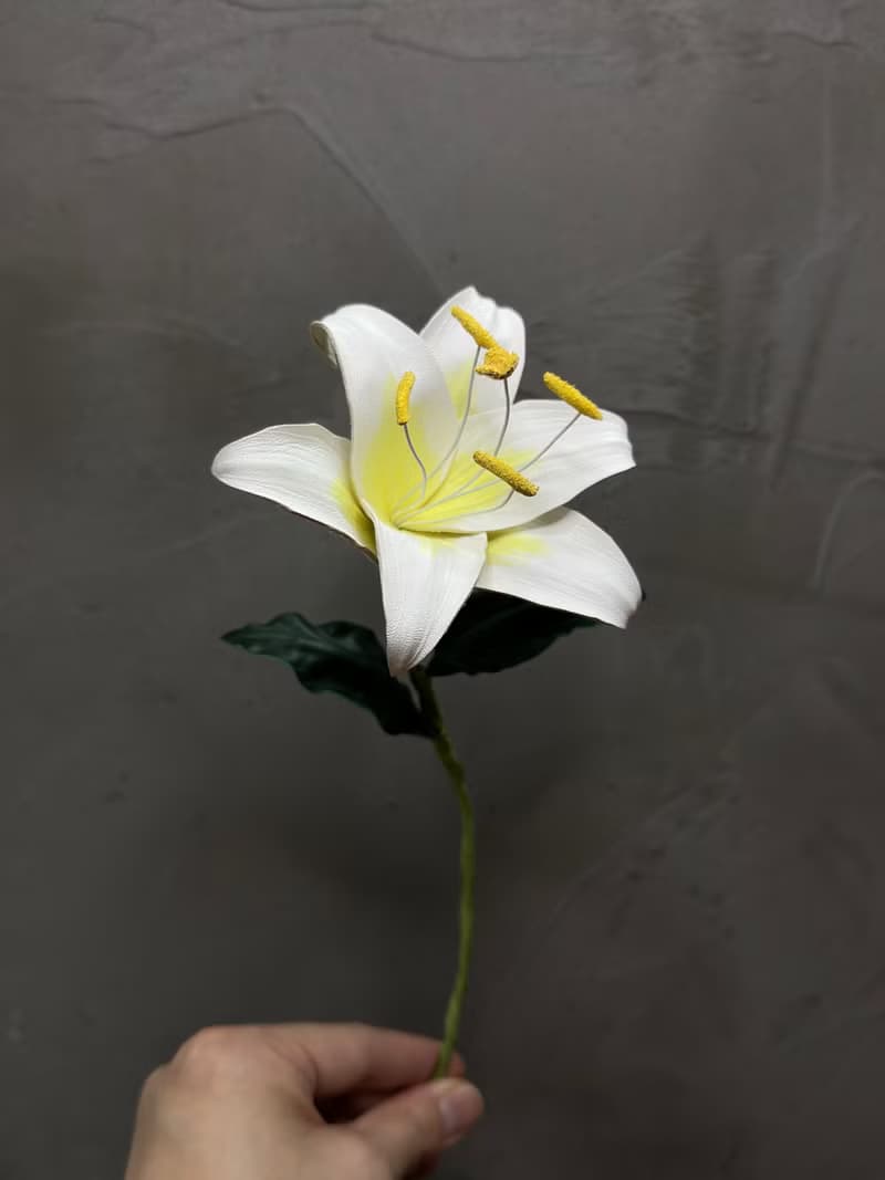 皮革百合花【花】