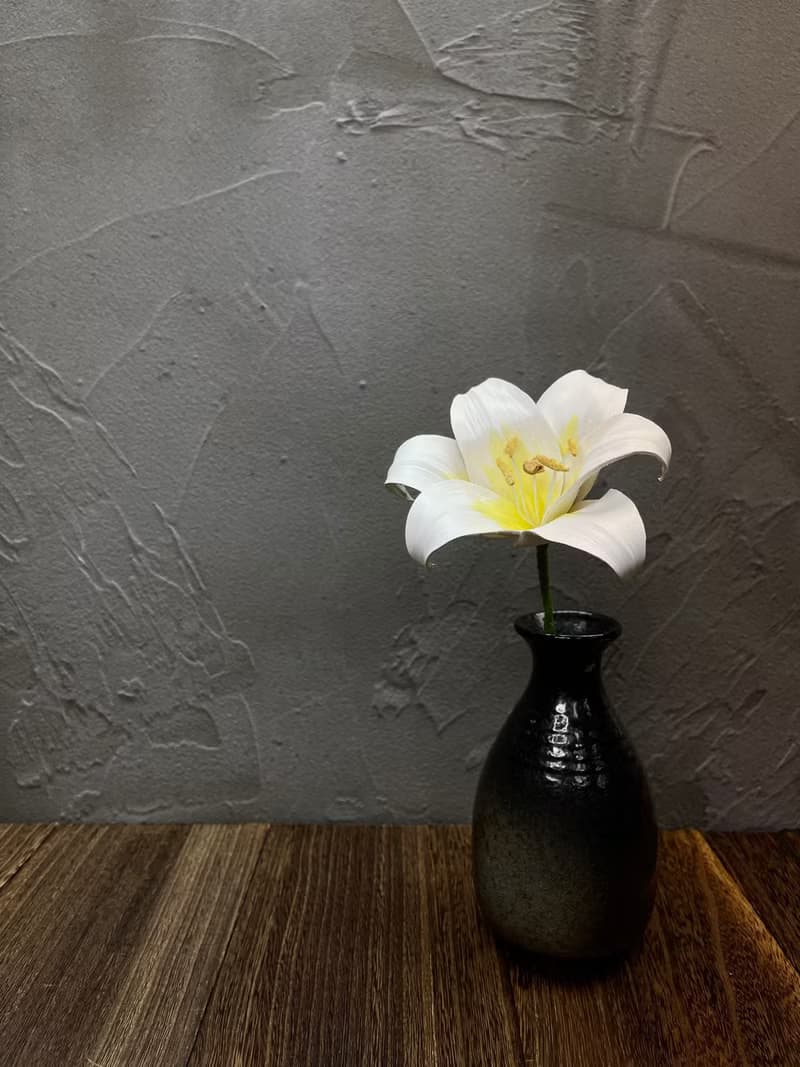 皮革百合花【花】