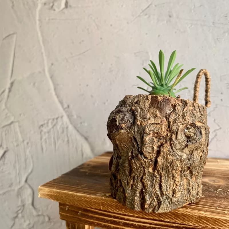 手工木作設計 盆栽擺飾 多肉植物 峨嵋山